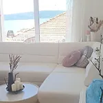 Spira Puovica *