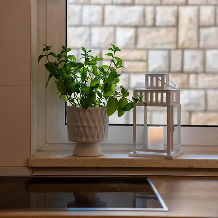 Apartment Spira Puovica